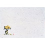 QSV21 [四季紙・千寿(100枚入) 福寿草 M30-202]