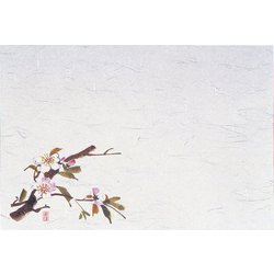 四季紙・千寿(100枚入) 桜 M30-205 QSV24