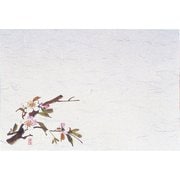 QSV24 [四季紙・千寿(100枚入) 桜 M30-205]