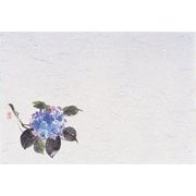 QSV27 [四季紙・千寿(100枚入) あじさい M30-208]