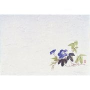 QSV28 [四季紙・千寿(100枚入) 朝顔 M30-209]