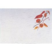 QSV30 [四季紙・千寿(100枚入) 柿 M30-211]
