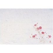 QSV31 [四季紙・千寿(100枚入) 秋桜 M30-212]