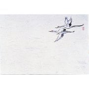 QSV36 [四季紙・千寿(100枚入) 鶴 M30-217]