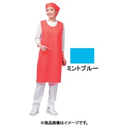 アイメッシュエプロン ノースリーブタイプ E5100 11ミントブルー SEPB702
