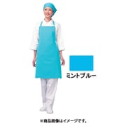 アイメッシュエプロン 首掛けタイプ E5200 11ミントブルー SEPB802