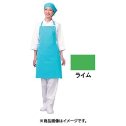 アイメッシュエプロン 首掛けタイプ E5200 22ライム SEPB803