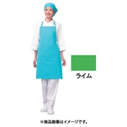 アイメッシュエプロン 首掛けタイプ E5200 22ライム SEPB803