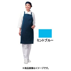 アイメッシュエプロン たすき掛けタイプ E5200 11Tミントブルー SEPB902