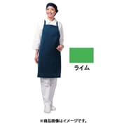アイメッシュエプロン たすき掛けタイプ E5200 22Tライム SEPB903