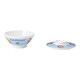 メラミンお子様食器「ダイナソワーズ」 飯碗(蓋付) RMSA5