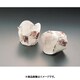 チューリップカップ白 M-303(100枚入) WTY66303
