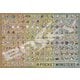 1000T-31 ポケットモンスター ポケモン図鑑 No.001-No.151 [ジグソーパズル 1000ピース（完成サイズ：51×73.5cm）]