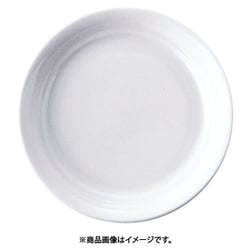 カジュアルウェア YB360-1 プレート 16cm RPL57