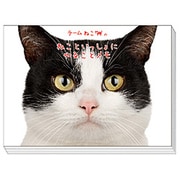 チームねこやることメモ TEAM BM02897