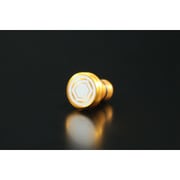 AEJC-TRUK41678-GD [アルミイヤホンジャックカバー 刀剣乱舞 浦島虎徹 Ver. ゴールド]