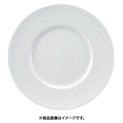 アクア プレート APAQ 245 RAP2601