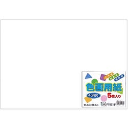 色画用紙 しろ 四つ切 5枚 EIG4-10