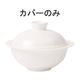 デリース グルメスープボールカバー 9404-2539 RBLD101