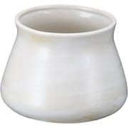 RAK0601 [白刷毛 スタック丸アク入 T03-199]