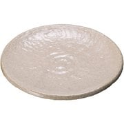 ホワイト5.0丸皿 T03-112 RTLC901