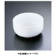 ボール 0298-1572-21 PBC52021