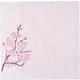 グルメ敷紙5寸(100枚入)桜 QGL04