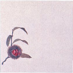 グルメ敷紙5寸(100枚入)栗 QGL05