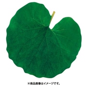 QKL1802 [型抜きクリアシート(200枚入) 65365 ふき]