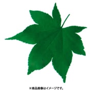 型抜きクリアシート(200枚入) 65366 青もみじ QKL2002