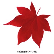 QKL2201 [型抜きクリアシート(200枚入) 65785 ミニ・赤もみじ]