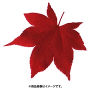 QKL2202 [型抜きクリアシート(200枚入) 65368 赤もみじ]