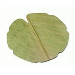 干朴葉懐敷(緑)100枚入 25995 丸型(小) QHO1302