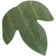 プチ干朴葉懐敷(緑)50枚入 23921 かえで型 QHO1102