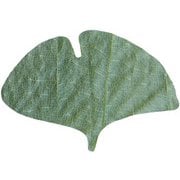 プチ干朴葉懐敷(緑)50枚入 23922 銀杏型 QHO1103