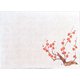 遠赤保鮮紙 小 (100枚入) 梅 QHS01