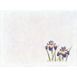 遠赤保鮮紙 小 (100枚入) 菖蒲 QHS03