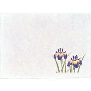遠赤保鮮紙 小 (100枚入) 菖蒲 QHS03