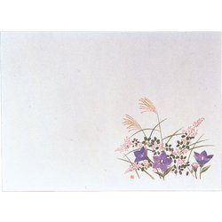 遠赤保鮮紙 小 (100枚入) 秋草 QHS05
