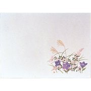 遠赤保鮮紙 小 (100枚入) 秋草 QHS05