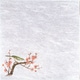 新・濡れ奉書紙(100枚入) 梅 QHU10