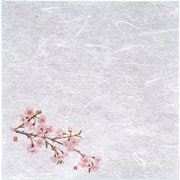 QHU11 [新・濡れ奉書紙(100枚入) 桜]