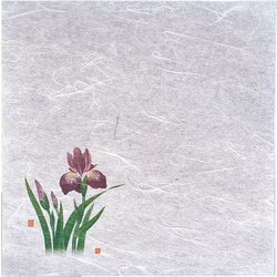 新・濡れ奉書紙(100枚入) 菖蒲 QHU14