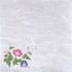新・濡れ奉書紙(100枚入) 朝顔 QHU19