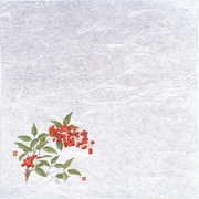 QHU25 [新・濡れ奉書紙(100枚入) 南天]