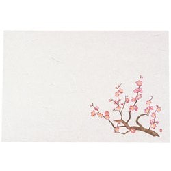 尺3四季懐石まっと(50枚入) 梅 QKI61