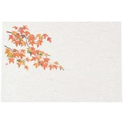 QKI13 [尺3四季懐石まっと(50枚入) 紅葉]