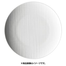 RT メッシュ 11770-10867 ラウンドプレート27cmフラット RLCQ501