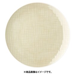 RT メッシュ 405153ー10864 ラウンドプレート24cmフラット RLCP601