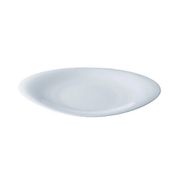 RT スクープ 11743-30032 フラットプレート 32cm RLCJ301